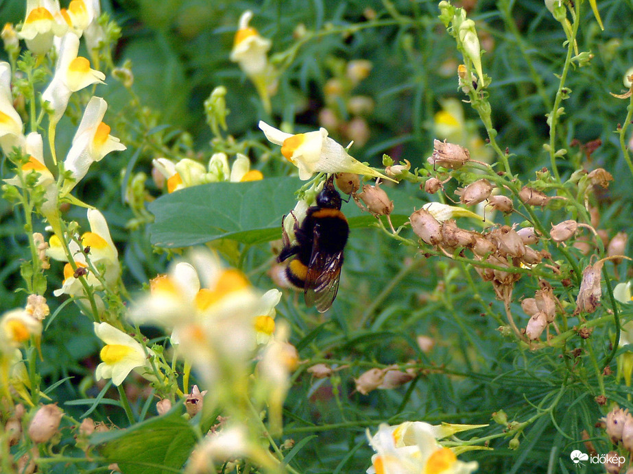 Akad, aki ma is dolgozik :)