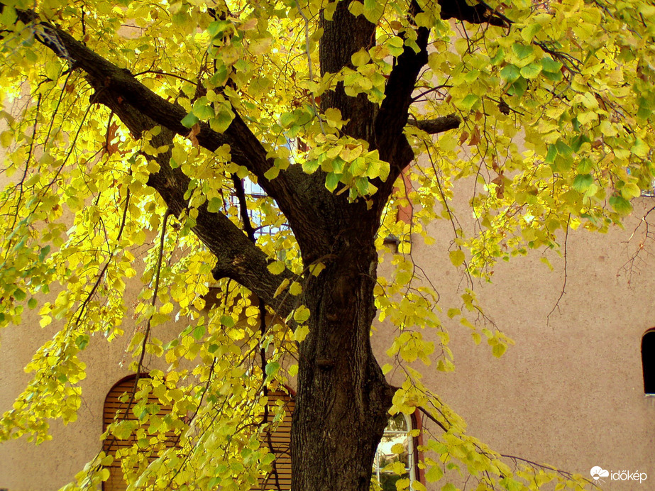 A Tabánt is elérte az ősz 