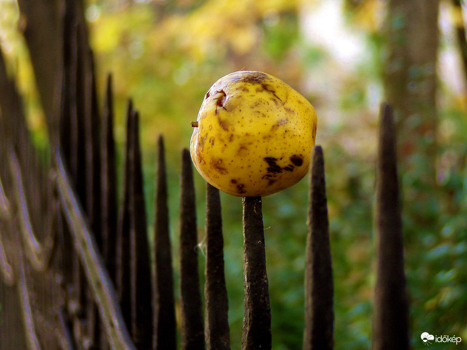 Váratlan ajándék :)