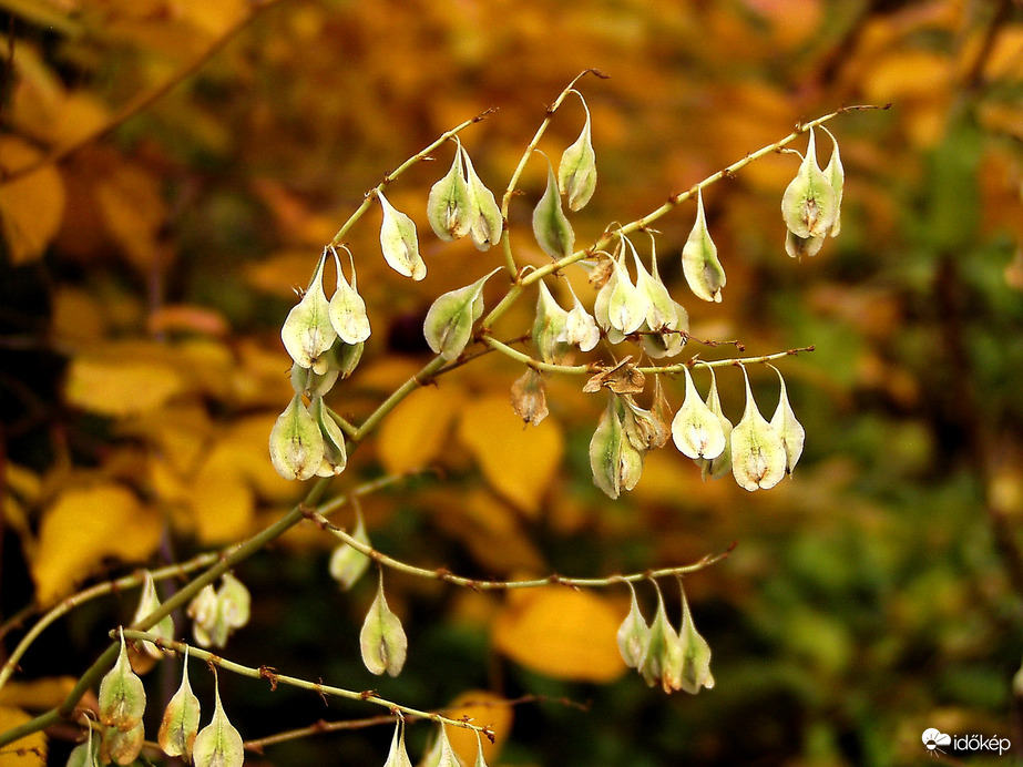 A Tabánt is elérte az ősz 