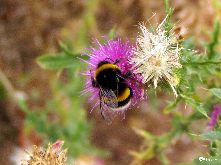 Borús időben is folyik a munka :)