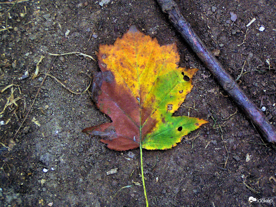 Az út a lábam alatt 