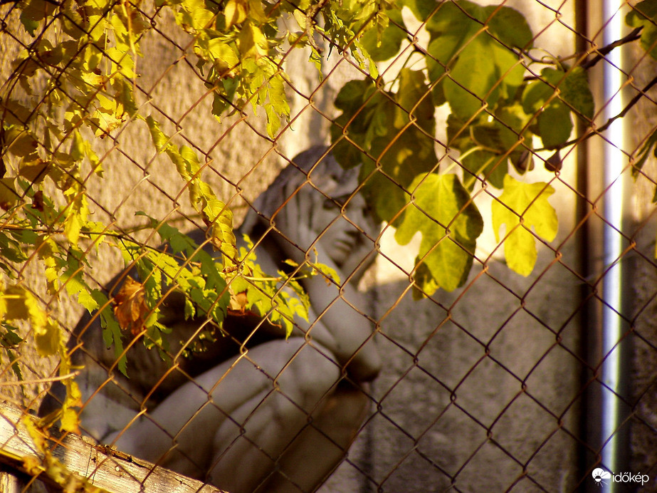 Leselkedünk, leselkedünk? :)