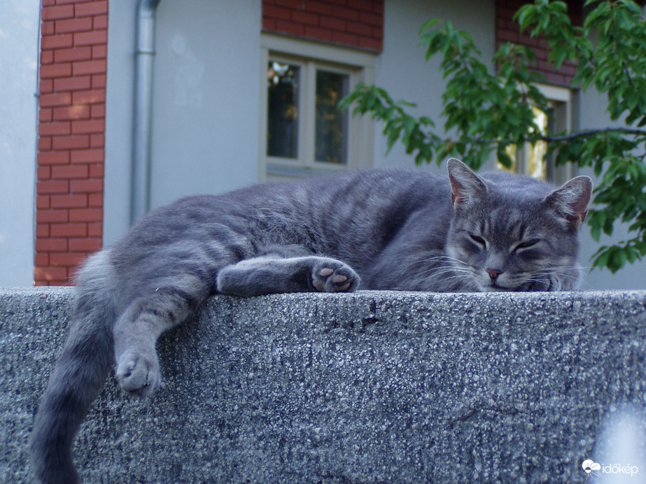 Hiába a városi rejtőszín és a mozdulatlanság :)