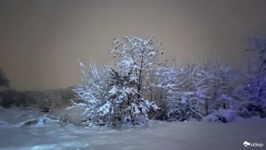 Észlelési fényképek