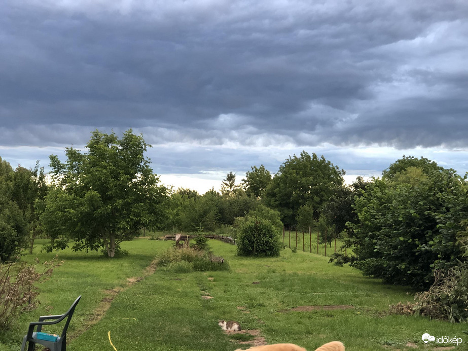 Észlelési fényképek