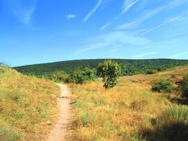 Kő-hegy
