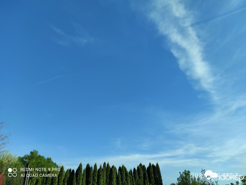 Észlelési fényképek