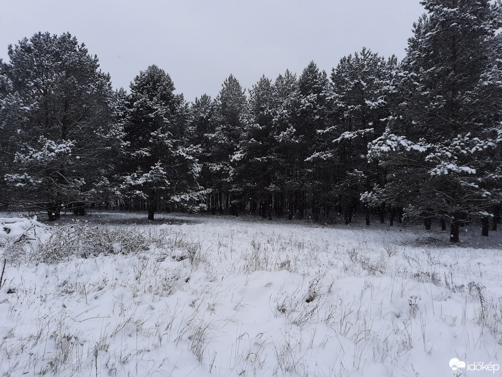 Észlelési fényképek