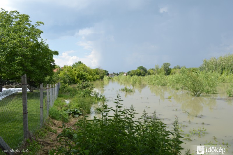 Érd Ófalu Molnár utca - Tárcsa köz 