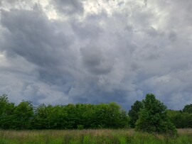 Somogysárd