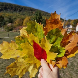 gerecsevolgy fotója