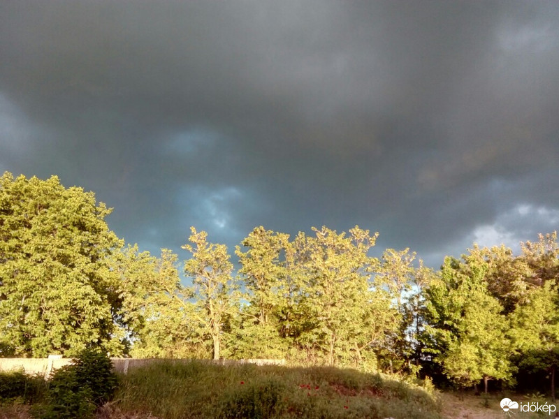 Észlelési fényképek