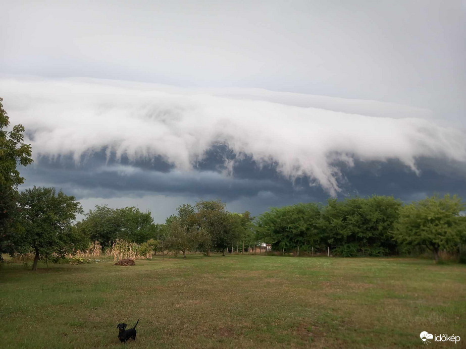 Észlelési fényképek