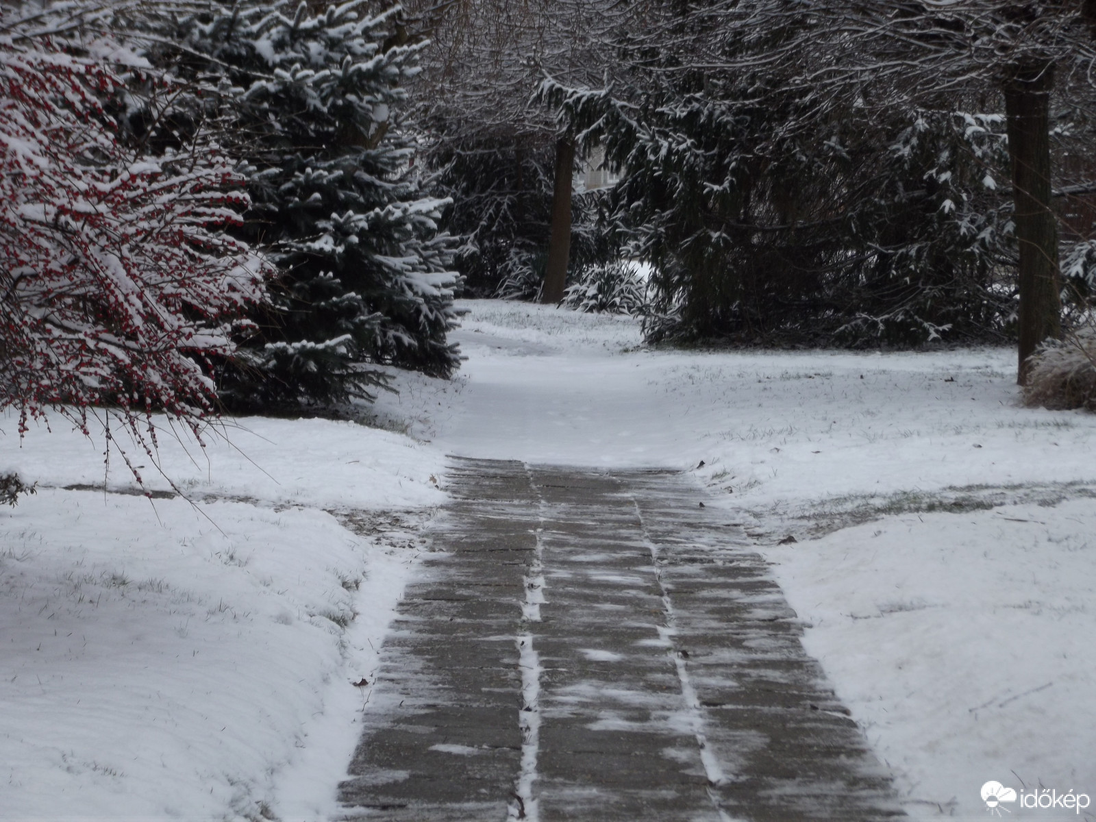 Észlelési fényképek