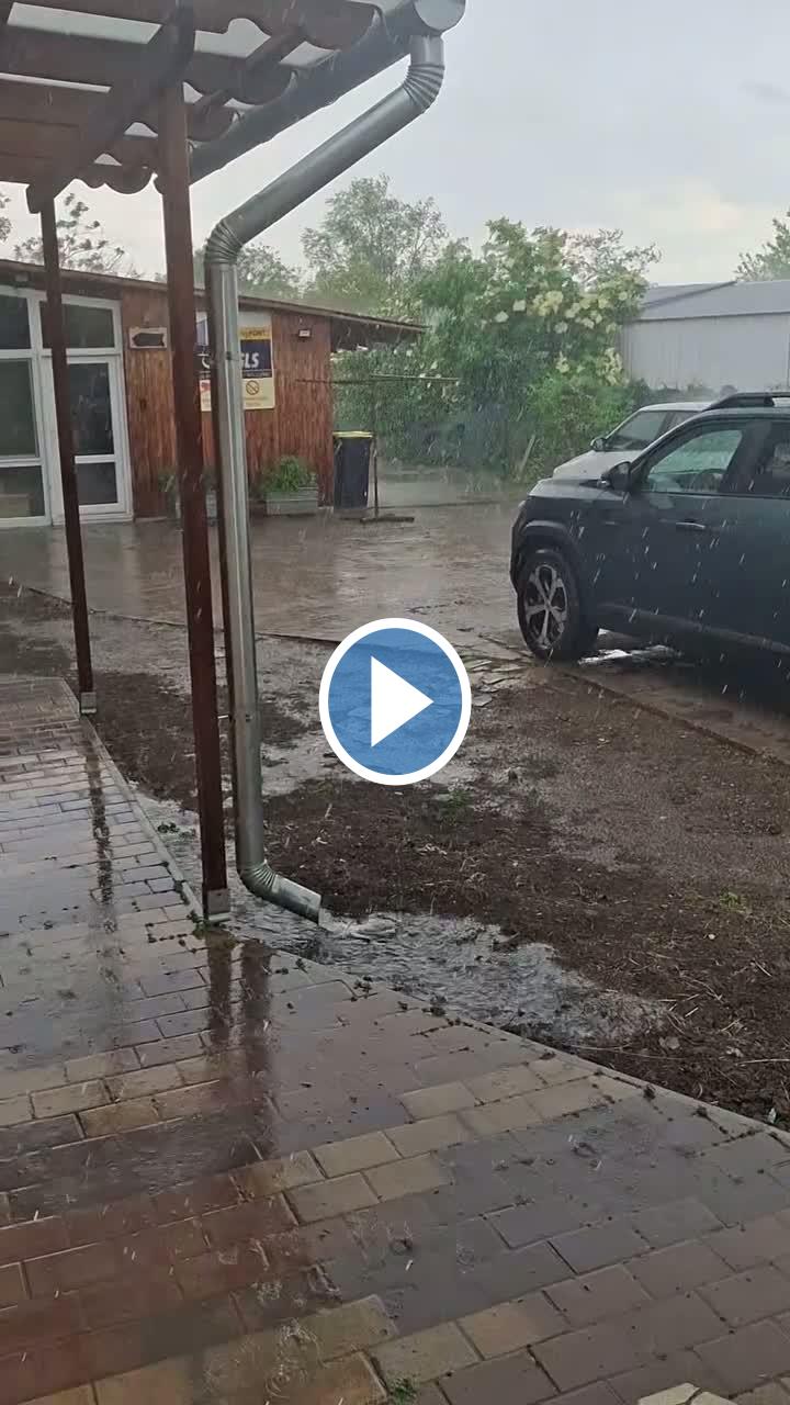 Videók és filmek