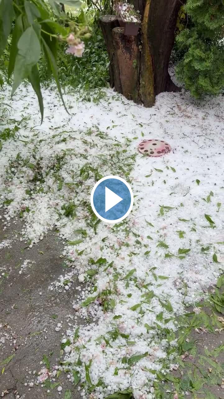 Videók és filmek