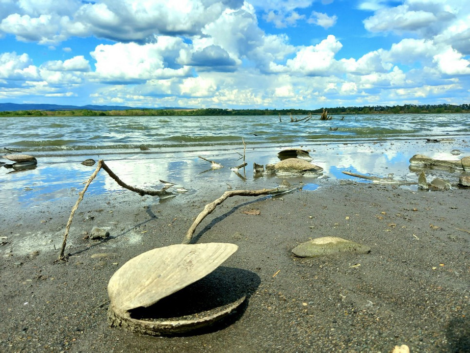 Mezőkövesd