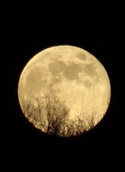 Felkelt a Farkas szuperhold