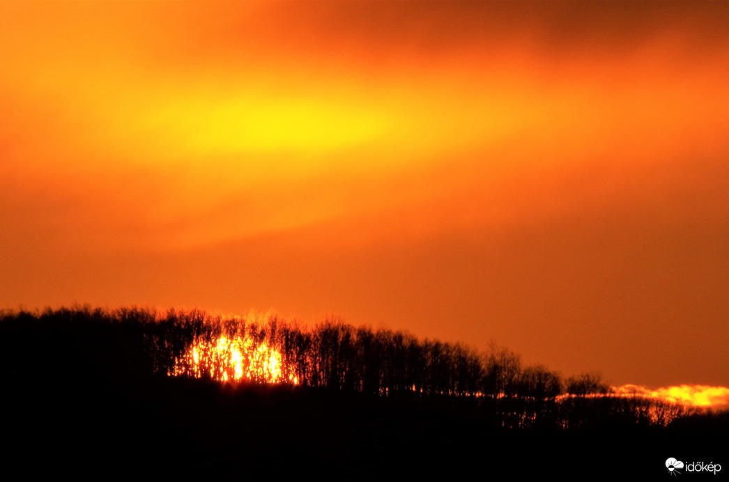 Napnyugta a fák mögött