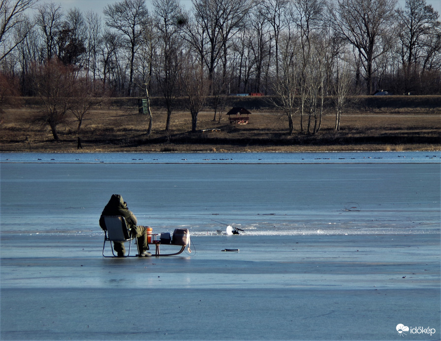 Egy merész ember :)