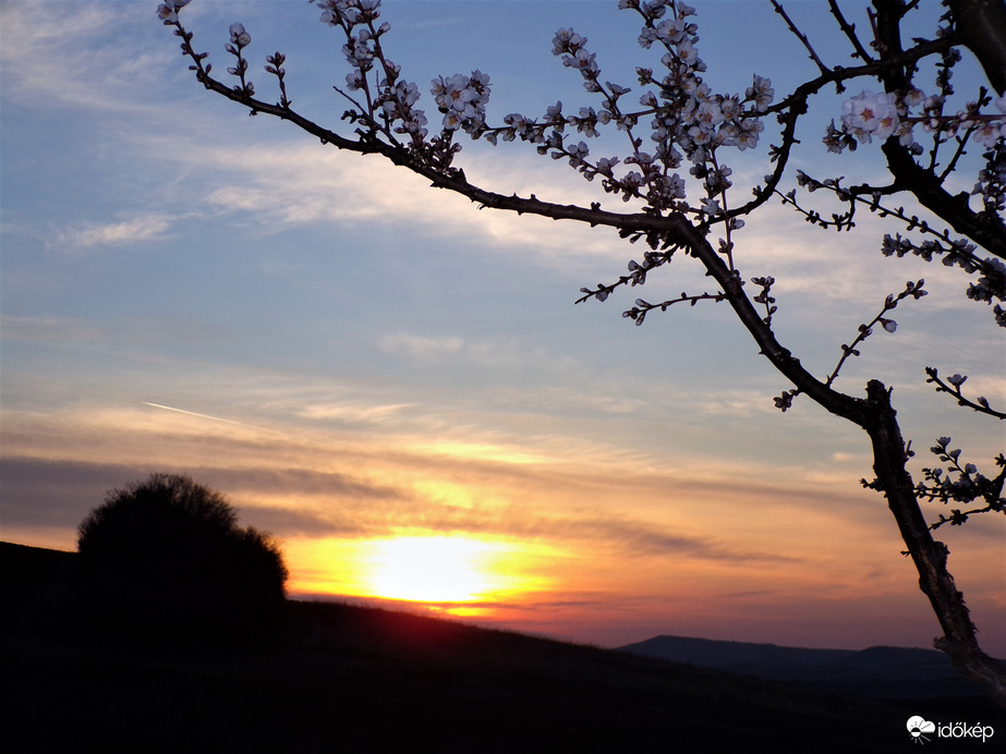 Virágba borult napkelte