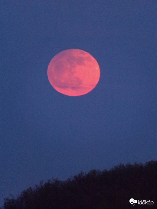 Holdkelte rózsaszínben