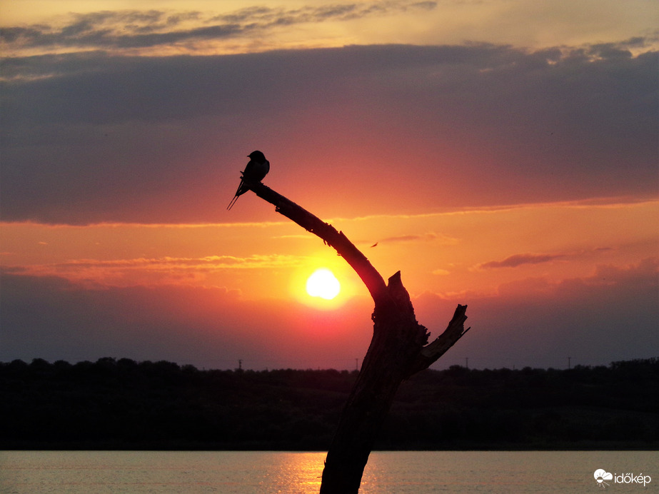 Tóparti napnyugta édes kis fecskével :)
