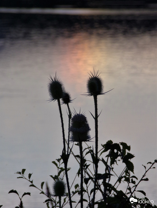 Tóban tükröződő melléknap héjakút mácsonyával