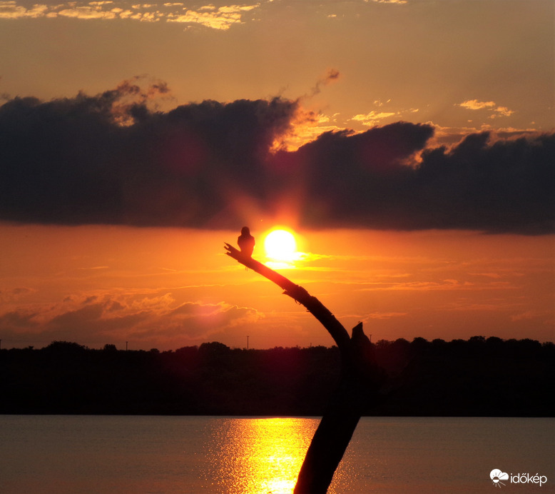 Napnyugta fecskével