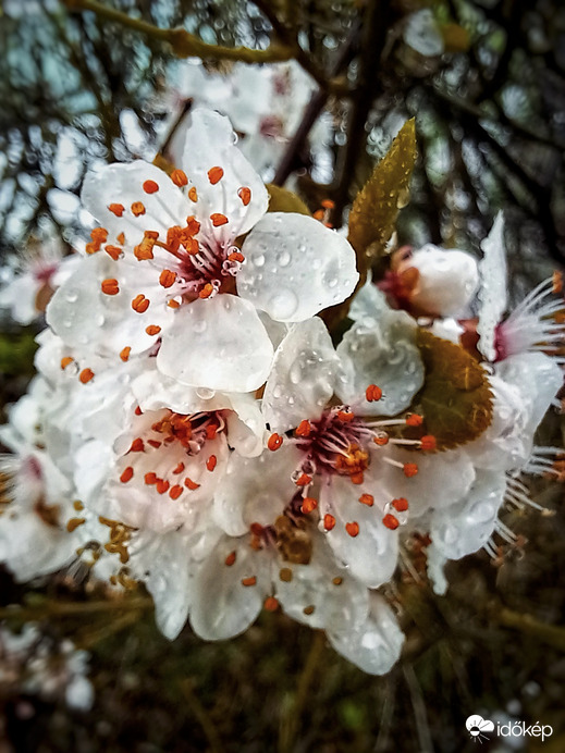 Már nem szomjaznak :) 2.