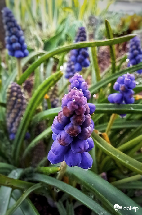 Már nem szomjaznak :) 1.