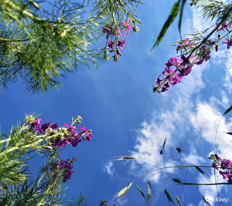 Szarkalábak és a kék ég