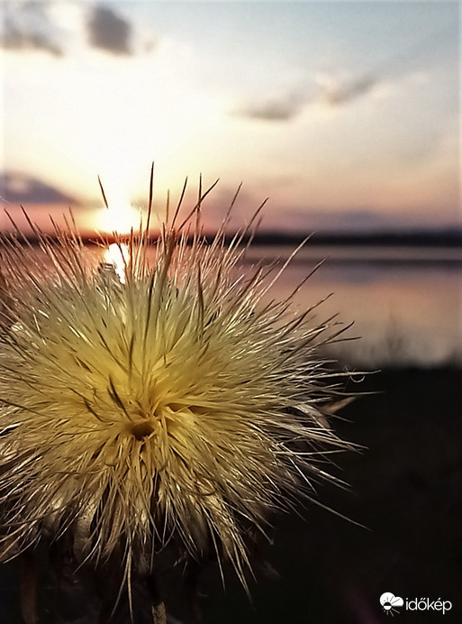 Napnyugta a tóparton