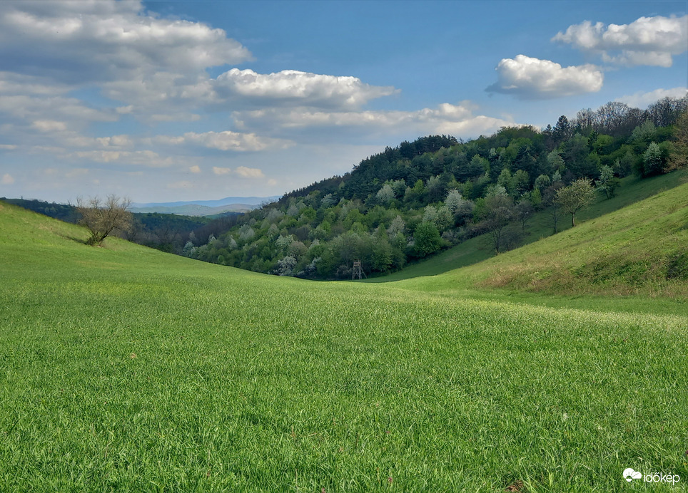 Dimbes-dombos tavaszi táj