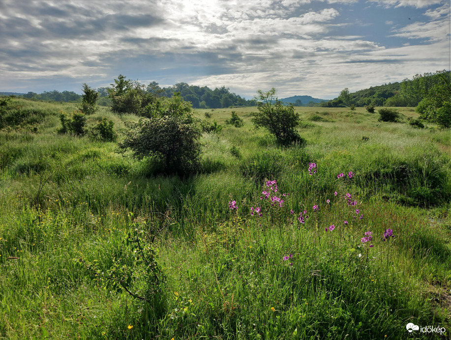 Cserépfalu környékén