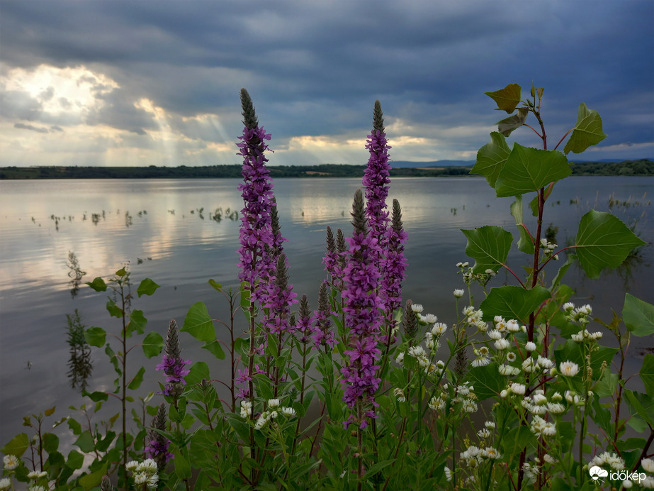 Tópat réti füzénnyel
