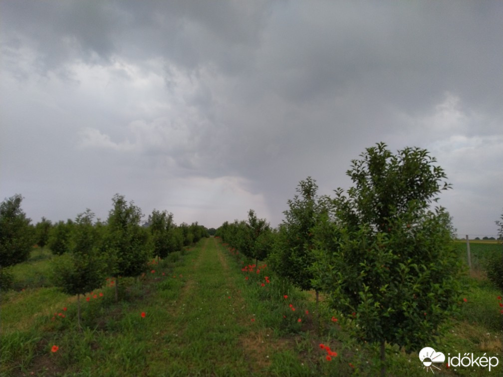 Észlelési fényképek