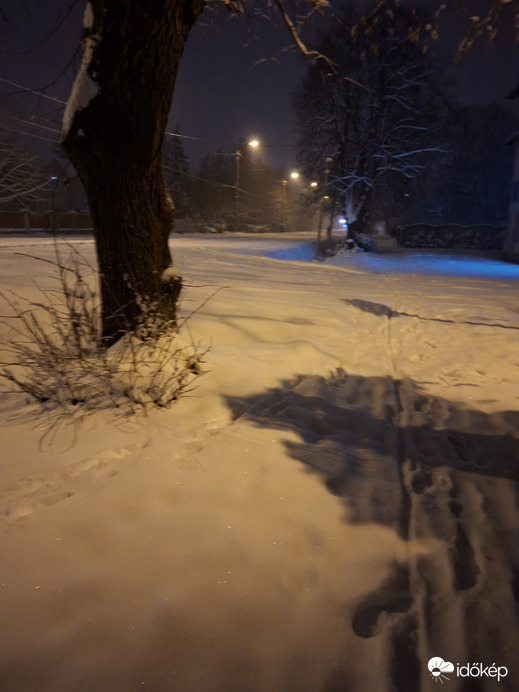 Észlelési fényképek