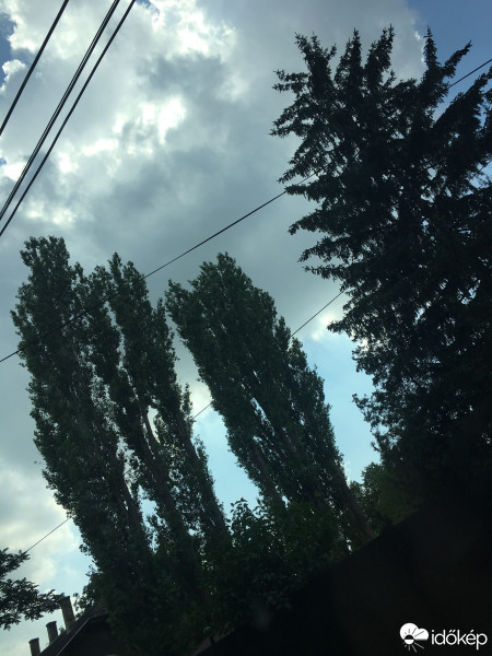 Észlelési fényképek