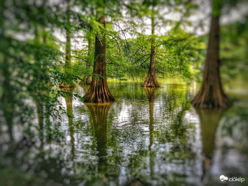 Körös-Maros Nemzeti Park