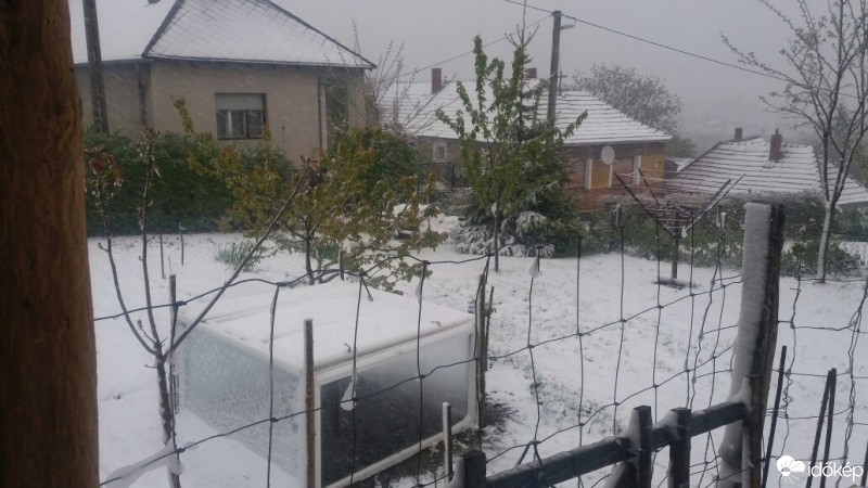 Észlelési fényképek