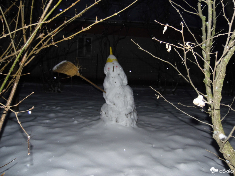 Észlelési fényképek