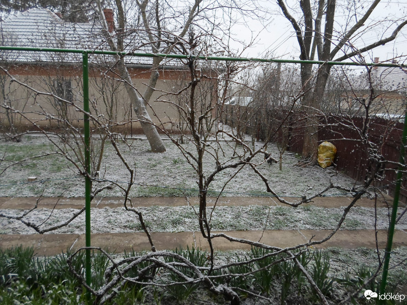 Észlelési fényképek