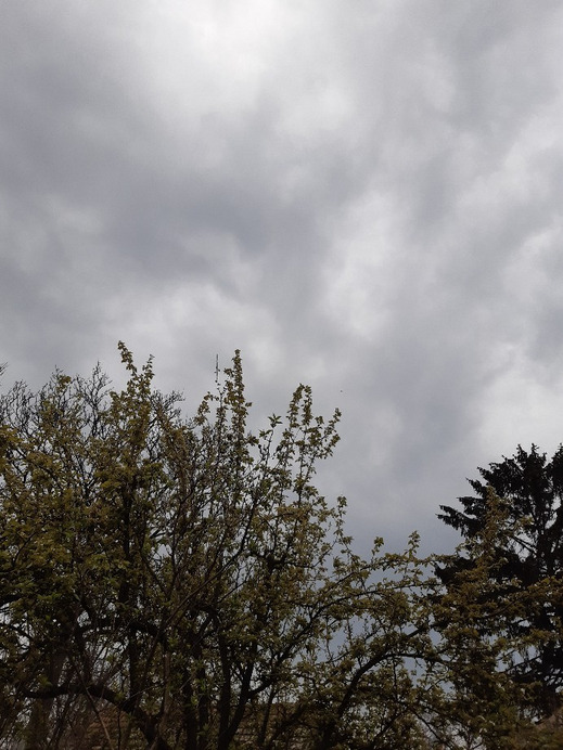 Jászalsószentgyörgy