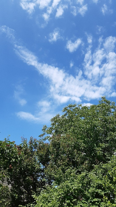 Jászalsószentgyörgy