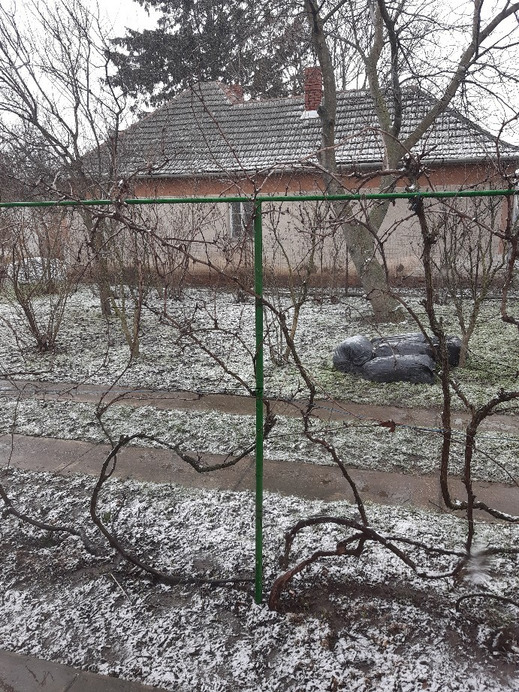 Jászalsószentgyörgy