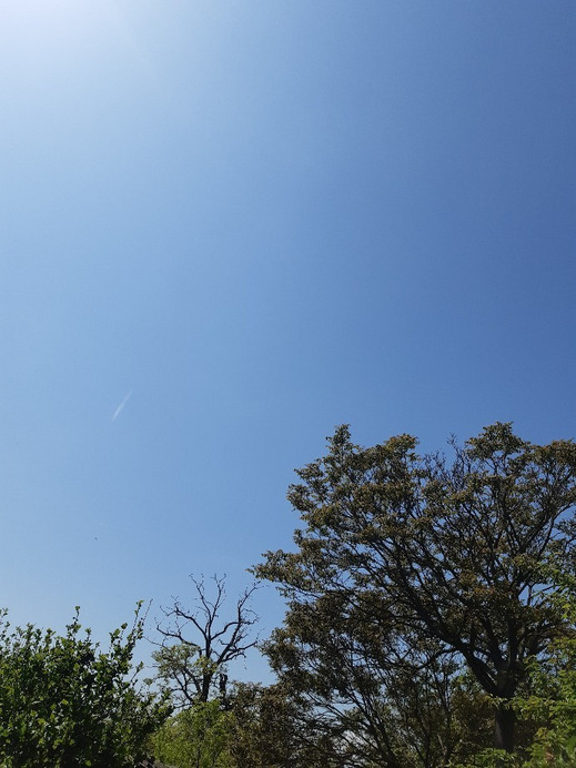 Jászalsószentgyörgy