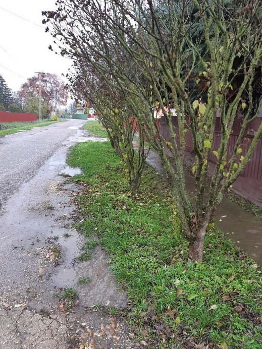 Jászalsószentgyörgy