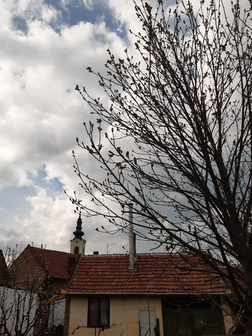 Jászalsószentgyörgy